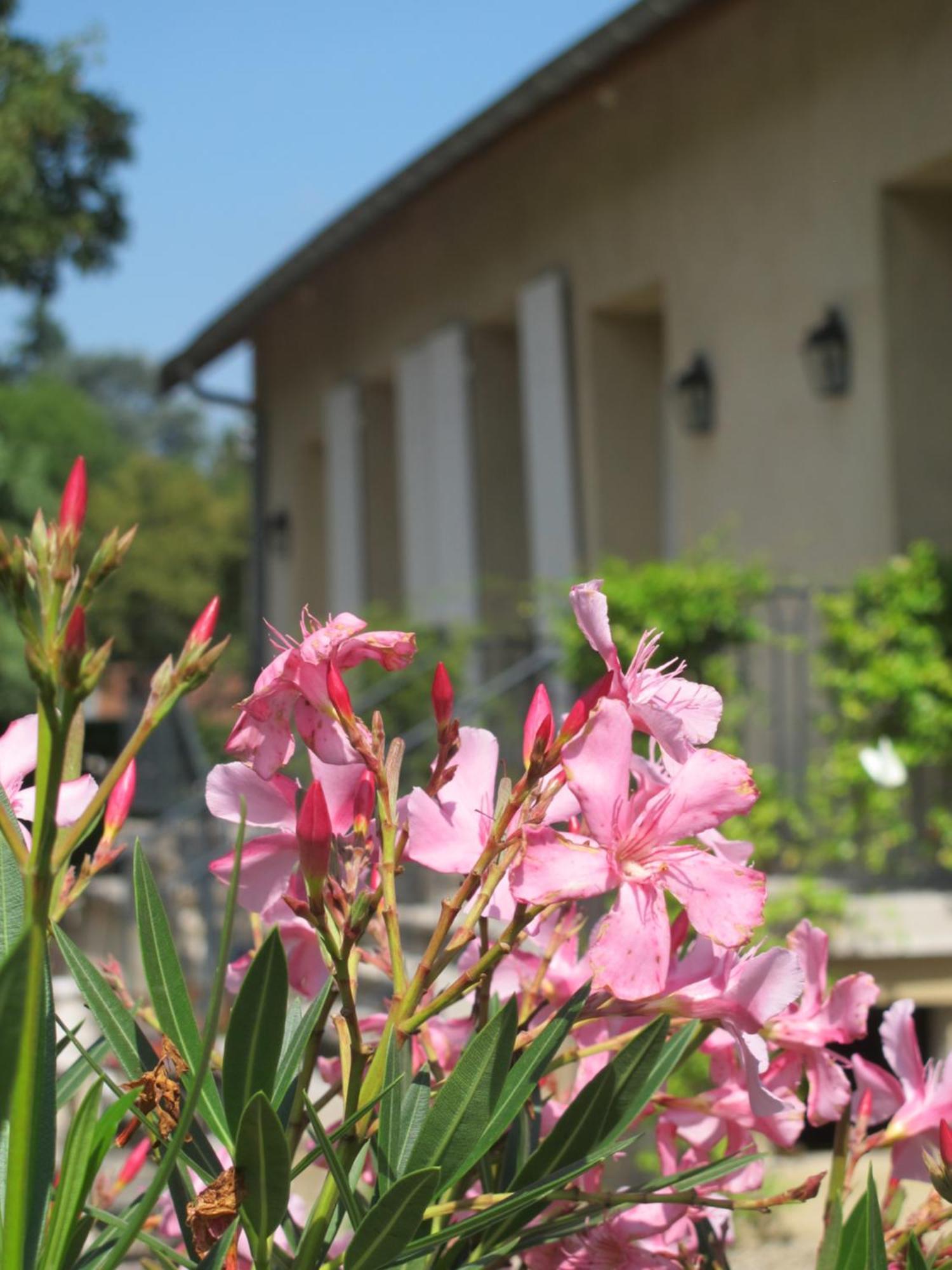 Apartmán Les Communs Du Manoir Écully Pokoj fotografie