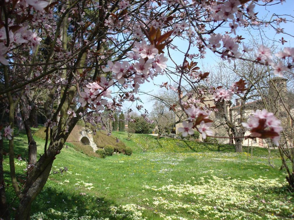 Apartmán Les Communs Du Manoir Écully Exteriér fotografie