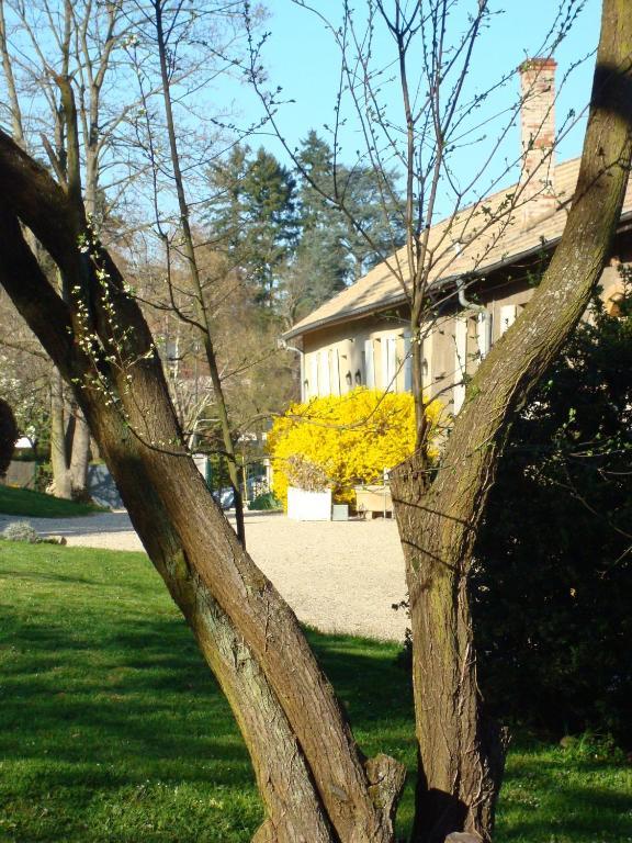 Apartmán Les Communs Du Manoir Écully Exteriér fotografie